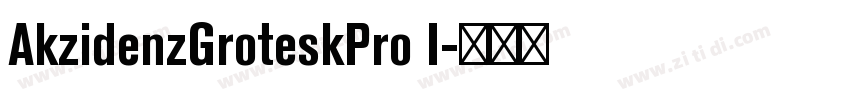 AkzidenzGroteskPro I字体转换